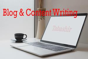 Portfolio for Blog, Assignment & Content Writer